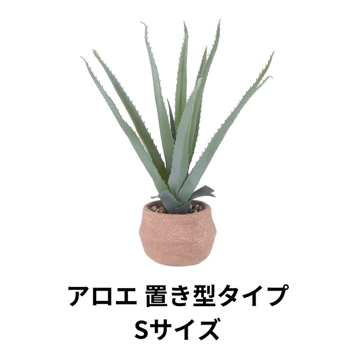アロエ 置き型タイプSサイズ