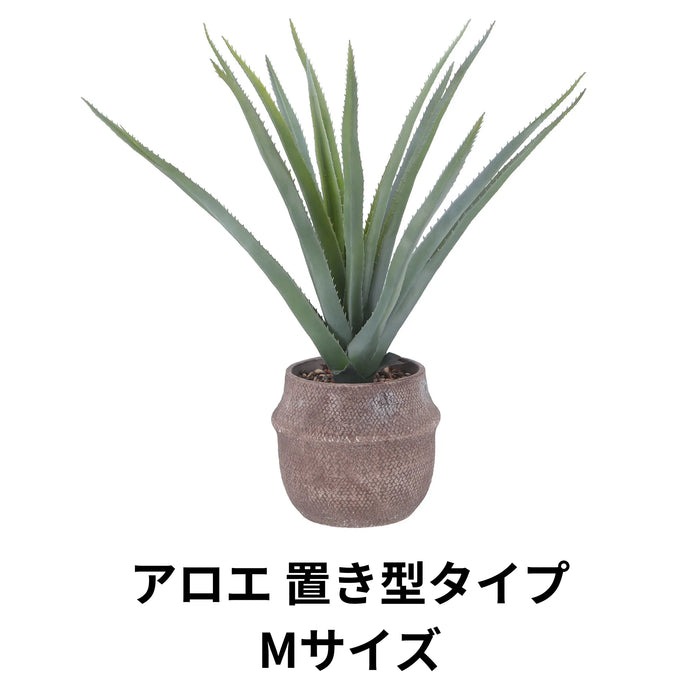 アロエ 置き型タイプMサイズ