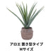 アロエ 置き型タイプMサイズ