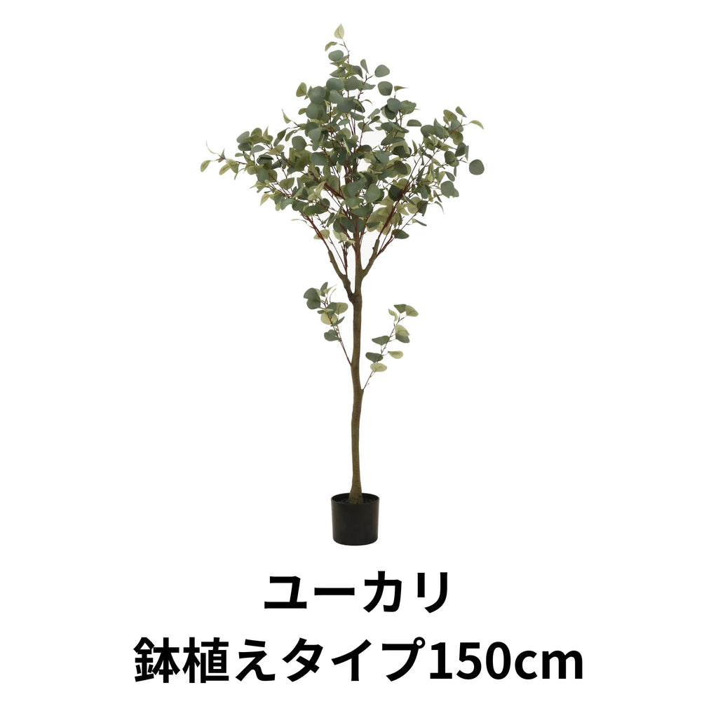 フェイクグリーン ユーカリ 鉢植えタイプ150cm — 【セルタン 公式】