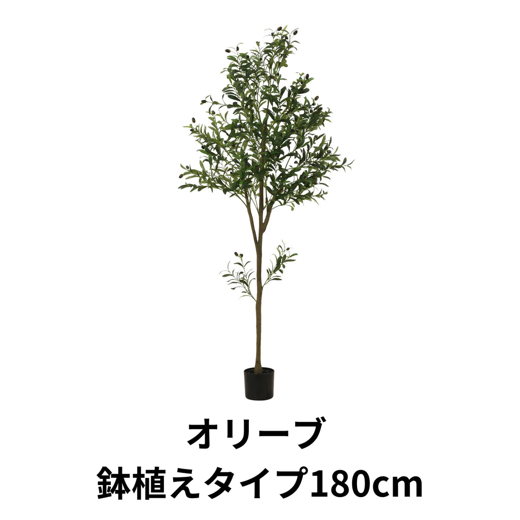 フェイクグリーン オリーブ 鉢植えタイプ180cm — 【セルタン 公式】