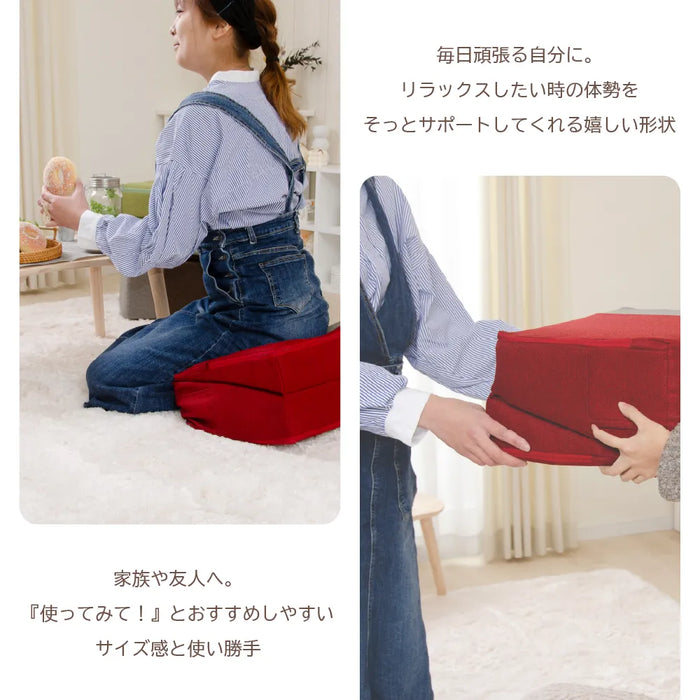 2way 三角スロープクッション