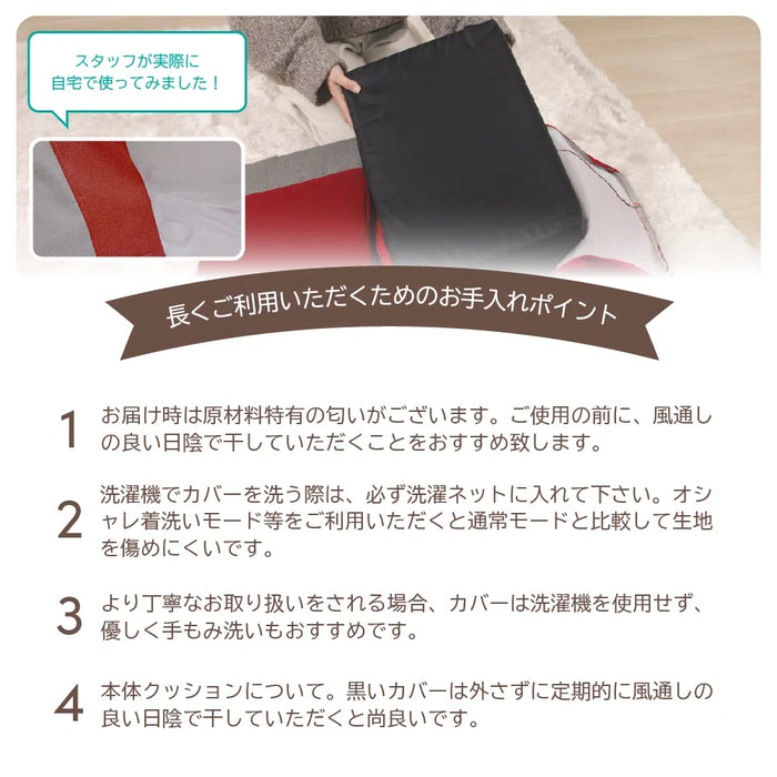 2way 三角スロープクッション