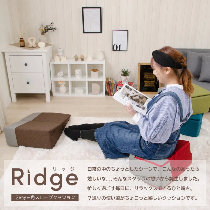 2way 三角スロープクッション