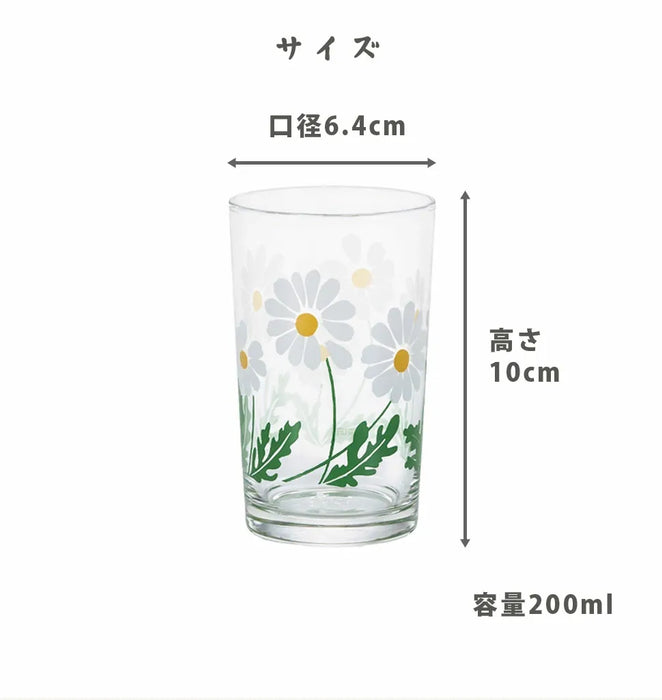 アデリアレトロ 中コップ8