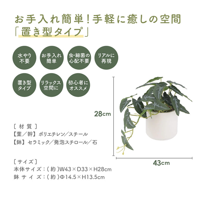 フェイクグリーン アロカシア 置き型タイプ