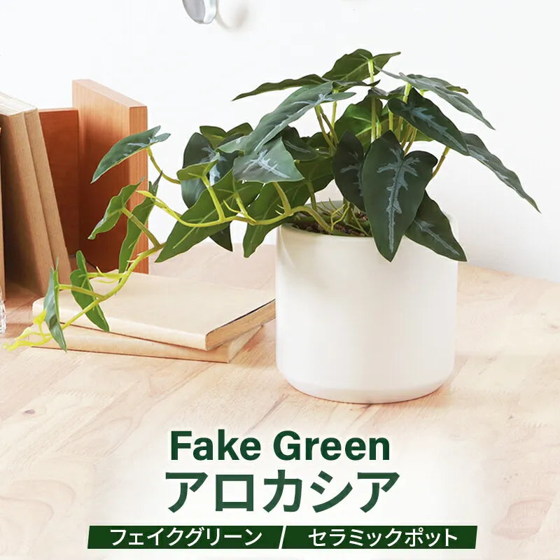 フェイクグリーン アロカシア 置き型タイプ — 【セルタン 公式】