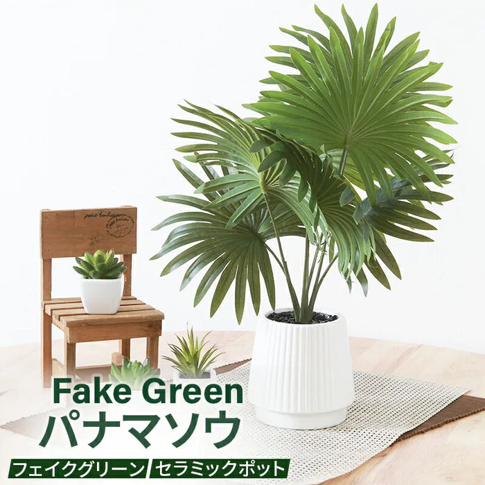 フェイクグリーン パナマソウ 置き型タイプ