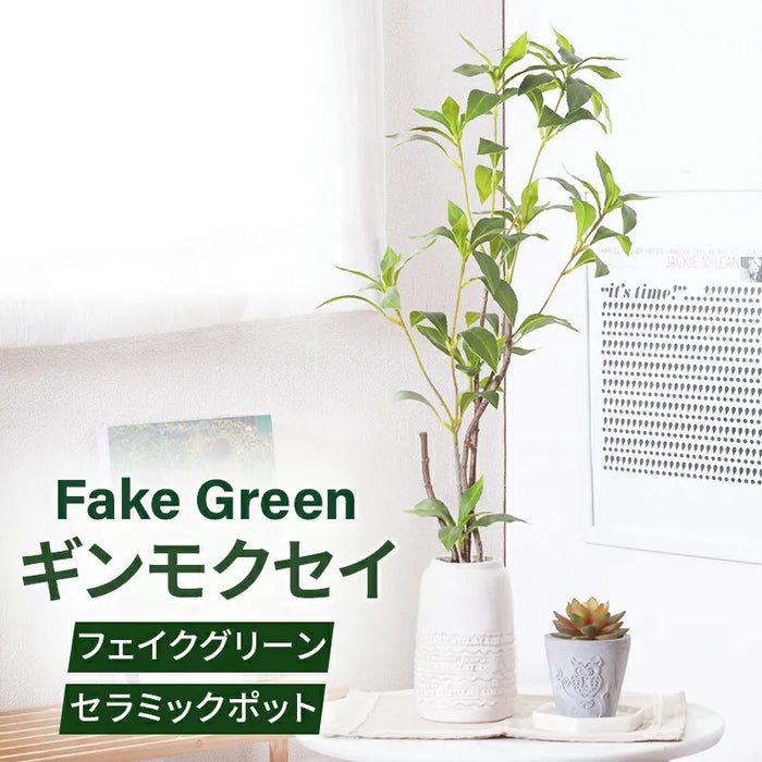 フェイクグリーン ギンモクセイ 置き型タイプ